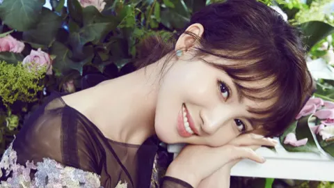 车内猝死纠纷案
